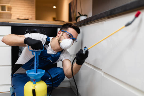Best Cockroach Control Services  in St Bernard, OH