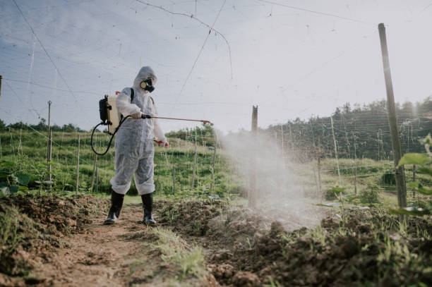 Best Ant Control Services  in St Bernard, OH