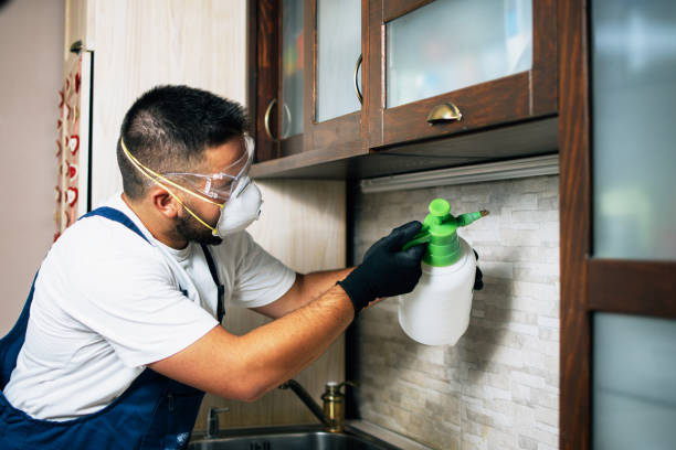Best Best Pest Control Near Me  in St Bernard, OH