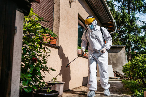 Best Flea Control Services  in St Bernard, OH