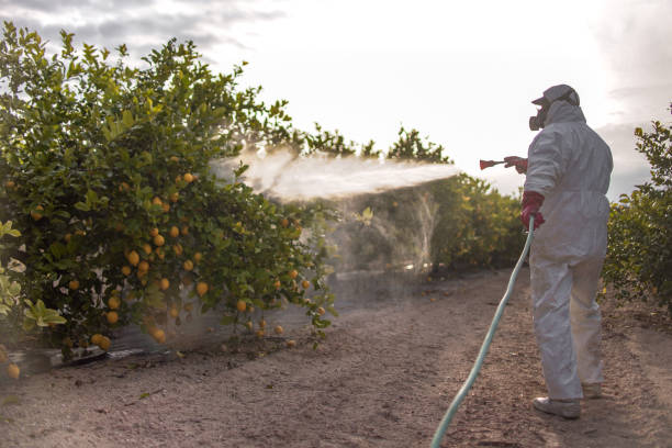 Reliable St Bernard, OH Pest Control Solutions