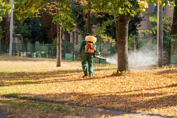 Best Emergency Pest Control  in St Bernard, OH