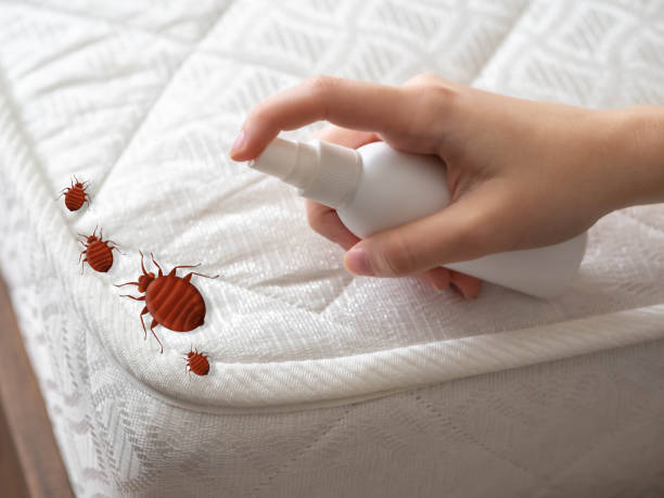 Trusted St Bernard, OH Pest Control Experts