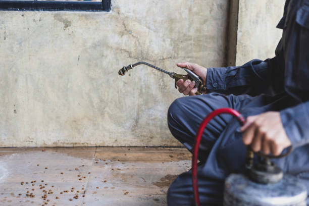 Pest Control Cost in St Bernard, OH